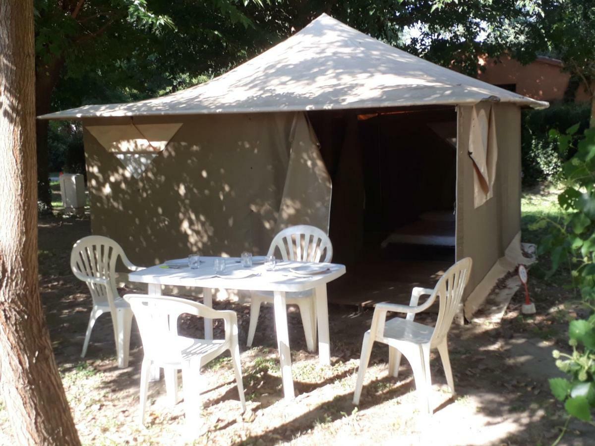 Camping Paradis Bellerive Montfrin Eksteriør billede